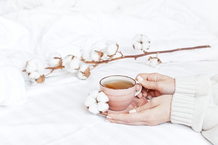 Women hands in white knitted sweater hold cup of hot tea on saucer with delicate cotton flower in the bed. Cozy morning breakfast at home Lifestyle gentle background Copy Space autumn winter conceptの写真素材