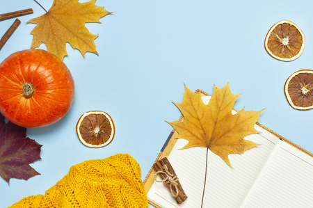 Opened notebook, orange pumpkin, cinnamon, yellow autumn maple leaf on blue background top view flat lay. Concept of study, working table halloween. Space for textの写真素材
