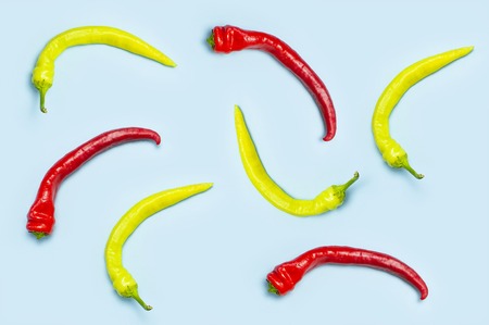 Red and green bitter chili pepper on blue background Flat lay top view Creative Food concept.の写真素材