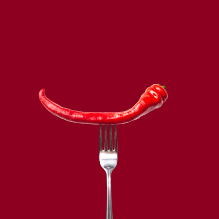 Red bitter chili pepper on the fork on red isolated background. Creative Food conceptの写真素材
