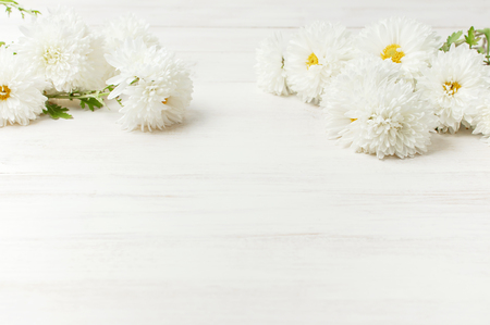White autumn chrysanthemum flowers on white wooden background Copy Space. Chrysanthemum wallpaper. Floral background Autumn bouquet lifestyleの写真素材