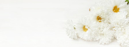 White autumn chrysanthemum flowers on white wooden background Copy Space. Chrysanthemum wallpaper. Floral background Autumn bouquet lifestyleの写真素材