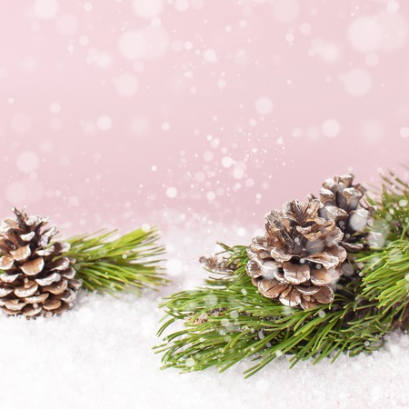 Christmas background, green pine branches, cones decorated with snow on snowy pink background. Creative composition with border and copy space design. New Year's, holiday, christmas decorationの写真素材