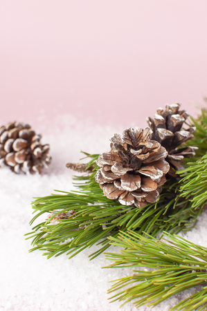 Christmas background, green pine branches, cones decorated with snow on snowy pink background. Creative composition with border and copy space design. New Year's, holiday, christmas decorationの写真素材