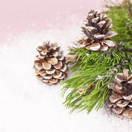 Christmas background, green pine branches, cones decorated with snow on snowy pink background. Creative composition with border and copy space design. New Year's, holiday, christmas decorationの写真素材