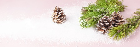 Christmas background, green pine branches, cones decorated with snow on snowy pink background. Creative composition with border and copy space design. New Year's, holiday, christmas decorationの写真素材