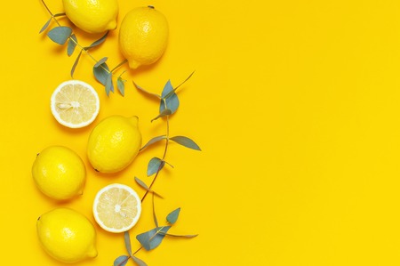 Ripe juicy lemons and green eucalyptus twigs on bright yellow background. Lemon fruit, citrus minimal concept. Creative summer food minimalistic background. Flat lay, top view, copy spaceの写真素材