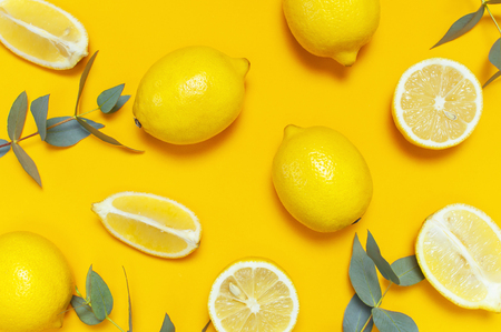 Ripe juicy lemons and green eucalyptus twigs on bright yellow background. Lemon fruit, citrus minimal concept. Creative summer food minimalistic background. Flat lay, top view, pattern.の写真素材
