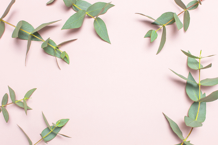 Frame made of eucalyptus branches on pastel pink background. Flat lay, top view, copy space. Floral background, flowers composition, green Eucalyptus leaves, mock upの写真素材