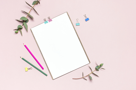 Flat lay clipboard with blank paper, colour pencils, clips, eucalyptus branches on pink background. Top view female office workspace minimal mock up template concept copy space Feminine floral desktop.の写真素材