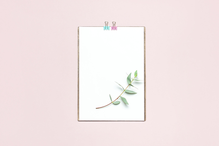 Flat lay clipboard with blank paper, green eucalyptus branches on pastel pink background. Top view female office workspace minimal mock up template concept, copy space. Feminine floral desktop.の写真素材
