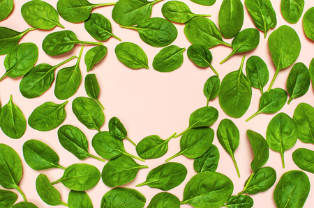 Frame of fresh green spinach leaves on pink background Flat lay top view. Creative food concept. Ingredient for salad. Vegetable pattern design. Healthy lifestyleの写真素材
