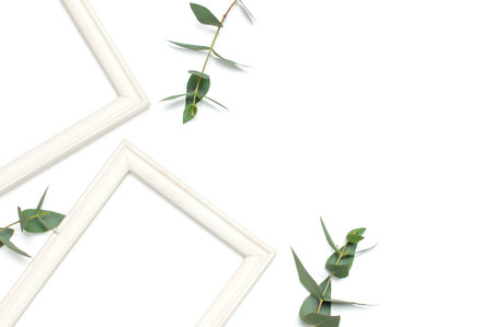 White wooden photo frame and green eucalyptus leaves on white background. Flat lay top view copy...