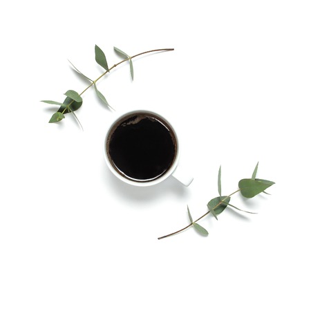 Cup of black coffee and green sprig of eucalyptus on white background. Flat lay, top view, copy space. Feminine desk workspace, morning breakfast, hot drink, coffee background.の写真素材
