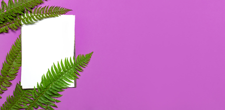 Tropical summer background, green fern leaves and blank white sheet for text on bright pink background top view flat lay. Summer floral composition, green leaf frame Nature concept mock-up for designの写真素材