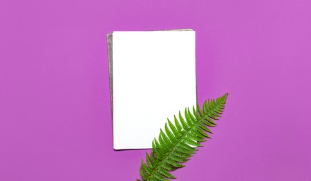 Tropical summer background, green fern leaves and blank white sheet for text on bright pink background top view flat lay. Summer floral composition, green leaf frame Nature concept mock-up for designの写真素材