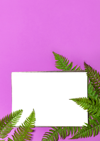 Tropical summer background, green fern leaves and blank white sheet for text on bright pink background top view flat lay. Summer floral composition, green leaf frame Nature concept mock-up for designの写真素材
