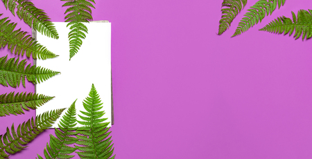 Tropical summer background, green fern leaves and blank white sheet for text on bright pink background top view flat lay. Summer floral composition, green leaf frame Nature concept mock-up for designの写真素材