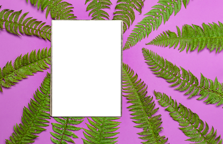 Tropical summer background, green fern leaves and blank white sheet for text on bright pink background top view flat lay. Summer floral composition, green leaf frame Nature concept mock-up for designの写真素材