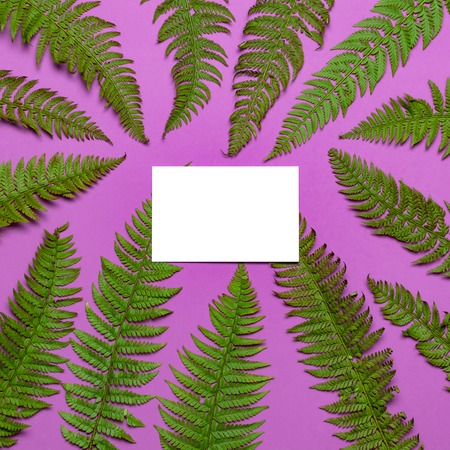 Tropical summer background, green fern leaves and blank white sheet for text on bright pink background top view flat lay. Summer floral composition, green leaf frame Nature concept mock-up for designの写真素材