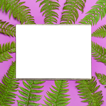 Tropical summer background, green fern leaves and blank white sheet for text on bright pink background top view flat lay. Summer floral composition, green leaf frame Nature concept mock-up for designの写真素材