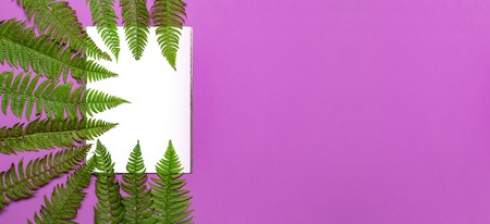 Tropical summer background, green fern leaves and blank white sheet for text on bright pink background top view flat lay. Summer floral composition, green leaf frame Nature concept mock-up for designの写真素材
