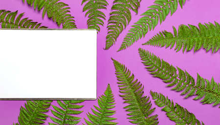 Tropical summer background, green fern leaves and blank white sheet for text on bright pink background top view flat lay. Summer floral composition, green leaf frame Nature concept mock-up for designの写真素材