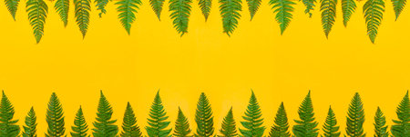 Tropical summer background, green fern leaves on bright yellow background top view flat lay copy...
