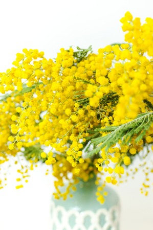 Spring bouquet of yellow mimosa flowers in turquoise vase against the light wall copy space. Gentle composition, concept of spring season, symbol of 8 March, happy women's day. Flower background.の写真素材