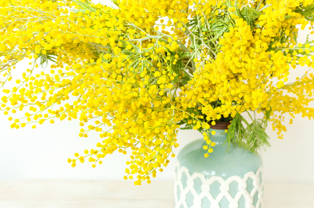 Spring bouquet of yellow mimosa flowers in turquoise vase against the light wall copy space. Gentle composition, concept of spring season, symbol of 8 March, happy women's day. Flower background.の写真素材