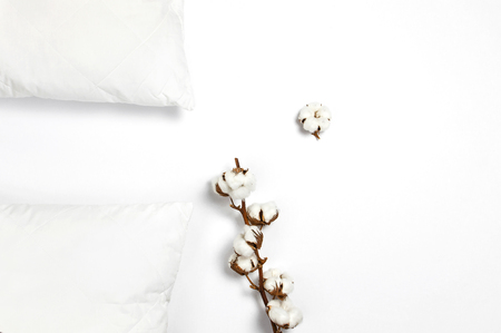 Soft white quilted pillow and branch of cotton on light background top view. Clean pillow, interior item, bedding mockup design template.の写真素材