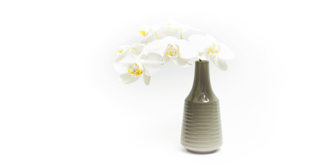 Beautiful White Phalaenopsis orchid flowers in gray vase on white background. Tropical flower, branch of orchid close up. White orchid background. Holiday, Women's Day, Flower Card flat lay.の写真素材