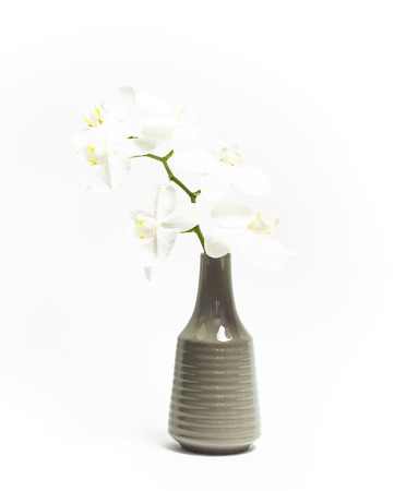Beautiful White Phalaenopsis orchid flowers in gray vase on white background. Tropical flower, branch of orchid close up. White orchid background. Holiday, Women's Day, Flower Card flat lay.の写真素材