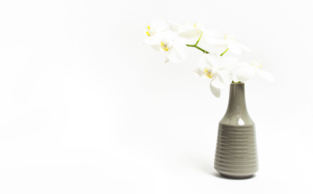 Beautiful White Phalaenopsis orchid flowers in gray vase on white background. Tropical flower, branch of orchid close up. White orchid background. Holiday, Women's Day, Flower Card flat lay.の写真素材