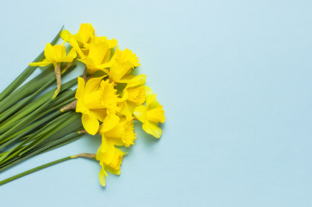 Spring floral background. Yellow narcissus or daffodil flowers on blue background top view flat lay. Easter concept, International Women's Day, March 8, holiday. Card with flowers Place for textの写真素材