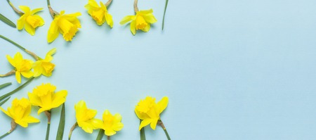 Spring floral background. Frame of narcissus or daffodil flowers on blue background top view flat lay. Easter concept, International Women's Day, March 8, holiday. Card with flowers. Place for text.の写真素材