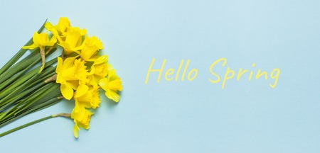 Spring floral background. Yellow narcissus or daffodil flowers on blue background top view flat lay. Easter concept, International Women's Day, March 8, holiday. Card with flowers Place for textの写真素材