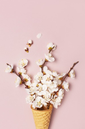 Waffle cone with bouquet of spring blooming branches of white flowers on pastel pink background. Creative spring minimal concept. Flat lay top view copy spaceの写真素材