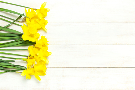 Spring floral background. Yellow narcissus or daffodil flowers on white wooden background top view flat lay.の写真素材