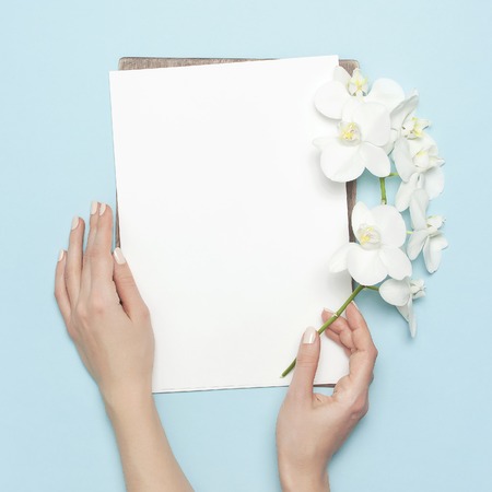 Woman's hands hold branch of Phalaenopsis orchid flowers Blank white sheet of paper on pastel blue background top view flat lay Mockup for your design Planning concept. Female desktop Tropical flower.の写真素材