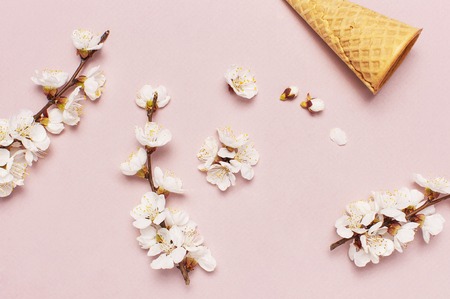 Waffle cone with bouquet of spring blooming branches of white flowers on pastel pink background. Creative spring minimal concept. Flat lay top view copy spaceの写真素材