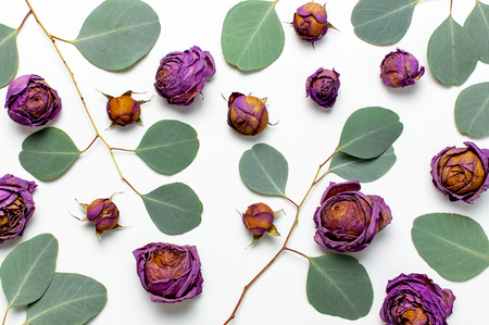 Flat lay flowers composition. Dried rose flowers and sprigs of eucalyptus on white background top view copy space. Flowers background. Design element for greeting card.の写真素材
