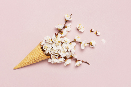 Waffle cone with bouquet of spring blooming branches of white flowers on pastel pink background. Creative spring minimal concept. Flat lay top view copy spaceの写真素材