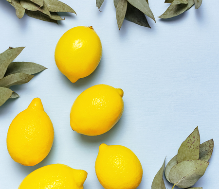 Ripe juicy lemons, eucalyptus twigs on pastel blue background. Lemon fruit, citrus minimal concept, vitamin C. Creative summer food minimalistic background. Flat lay, top view, copy spaceの写真素材