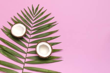 Tropical leaves and fresh coconut on pink background. Flat lay, top view, copy space. Summer background, nature. Healthy cooking. Creative healthy food concept, half of coconut.の写真素材