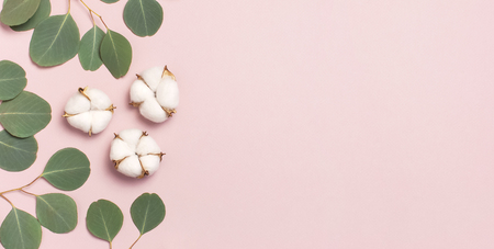 Cotton flowers and green eucalyptus twig on pastel pink background. Flat lay, top view, copy space. Flower composition with delicate cotton flowers. Cotton backgroundの写真素材