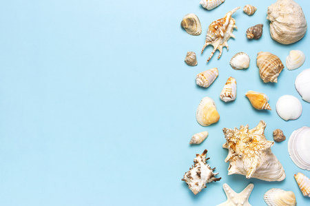 Summer concept, marine background. Different seashells and starfish on pastel blue background. Top view, flat lay, copy space. Sea summer vacation background. Travel, marine souvenir.の写真素材
