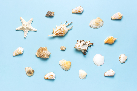 Summer concept, marine background. Different seashells and starfish on pastel blue background. Top view, flat lay, copy space. Sea summer vacation background. Travel, marine souvenir.の写真素材