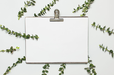 Blank white paper with folder and metal clothespin, spring green twigs of plants on gray background top view flat lay copy space. Decorative plant branch, flowers composition mockup Minimalistic style.の写真素材