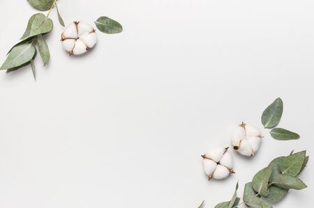 Flat lay flowers composition. Frame made of cotton flowers and fresh eucalyptus twigs on light gray background. Top view, copy space. Delicate white cotton flowers. Floral background, greeting card.の写真素材